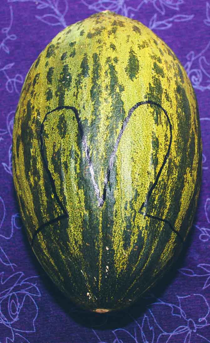 Tegne på vandmelon