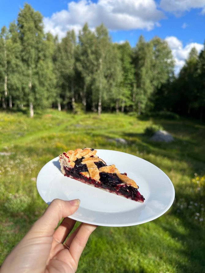 Blåbær tærte stykke